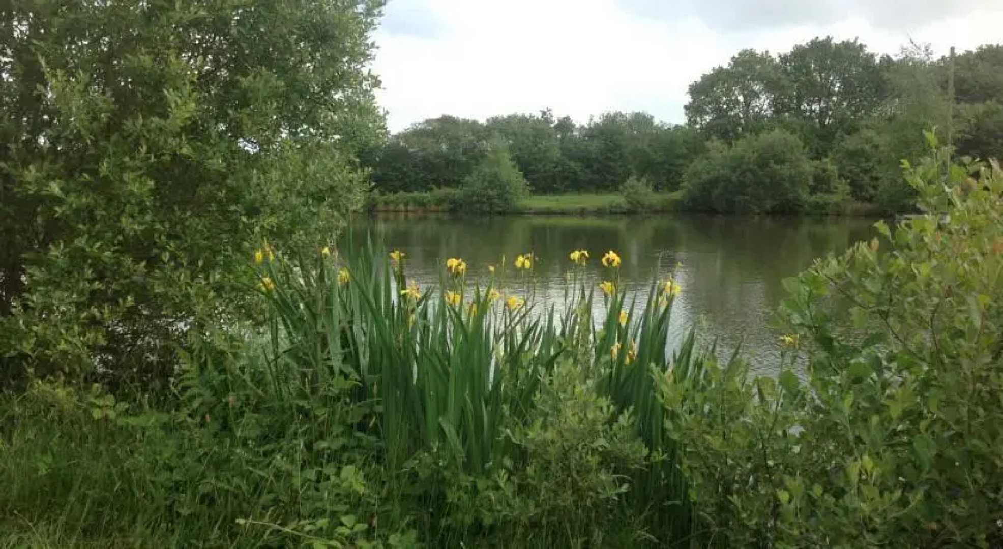 Cadson Manor Self Catering