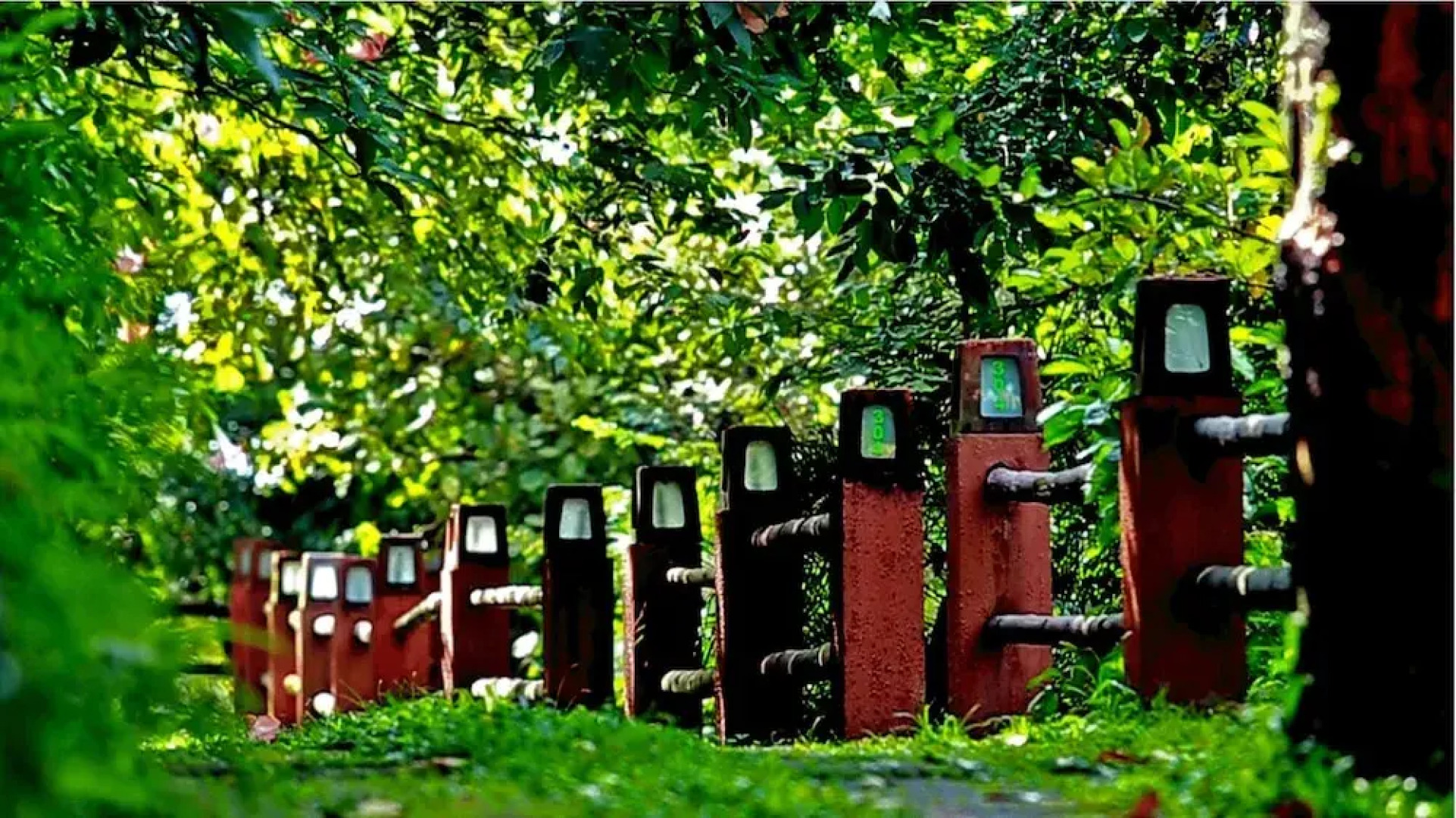 Wayanad Silverwoods Forest Resort & Spa