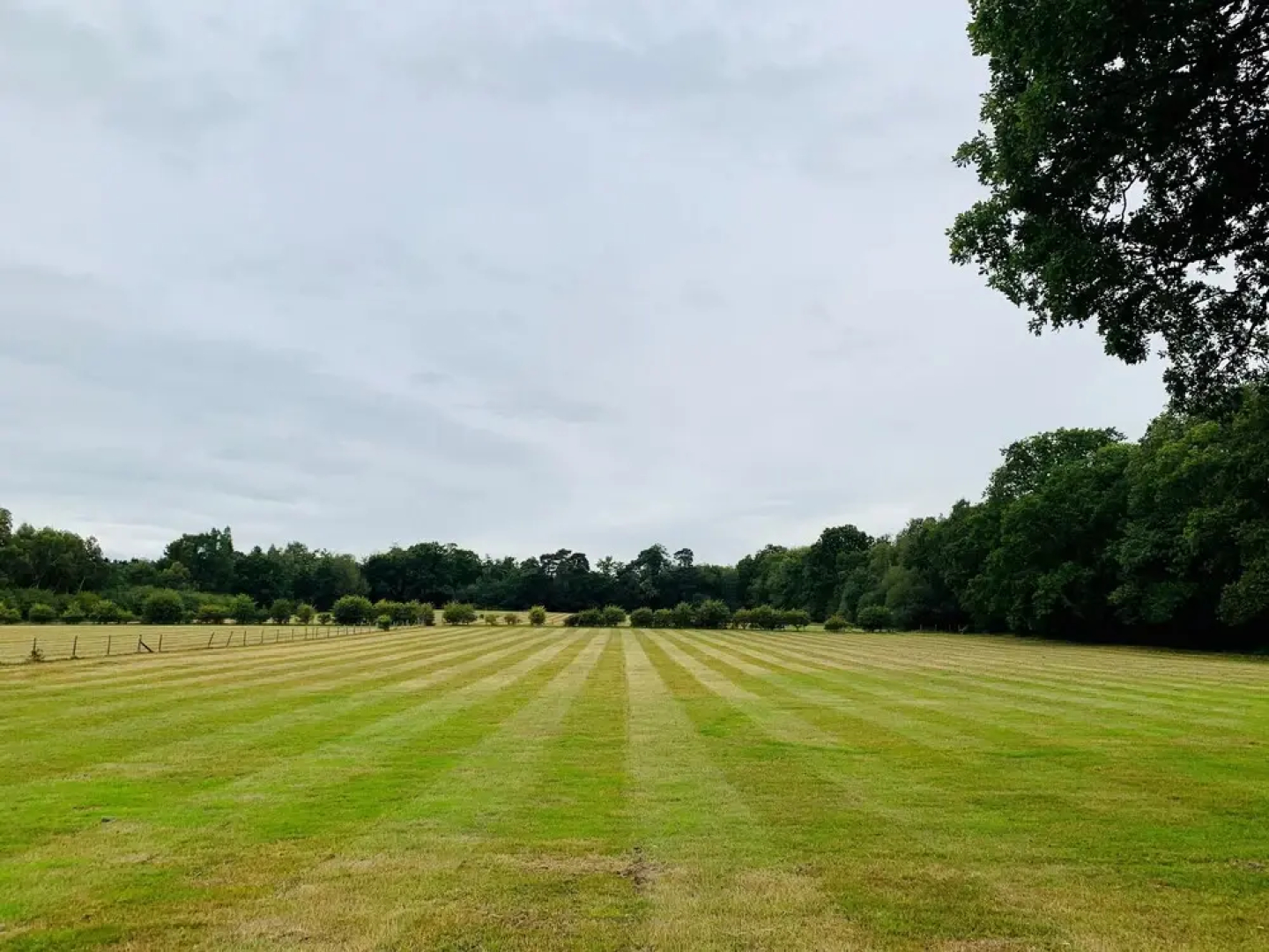Whitmoor Farm