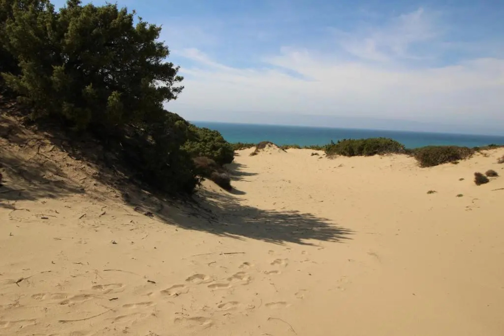 Appartamento Oleandro Piccolo Gutturu