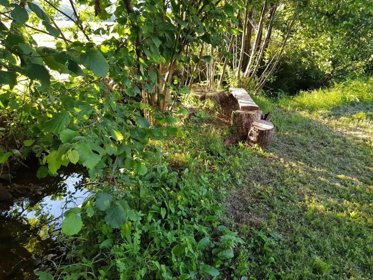 Le jardin des gouttes