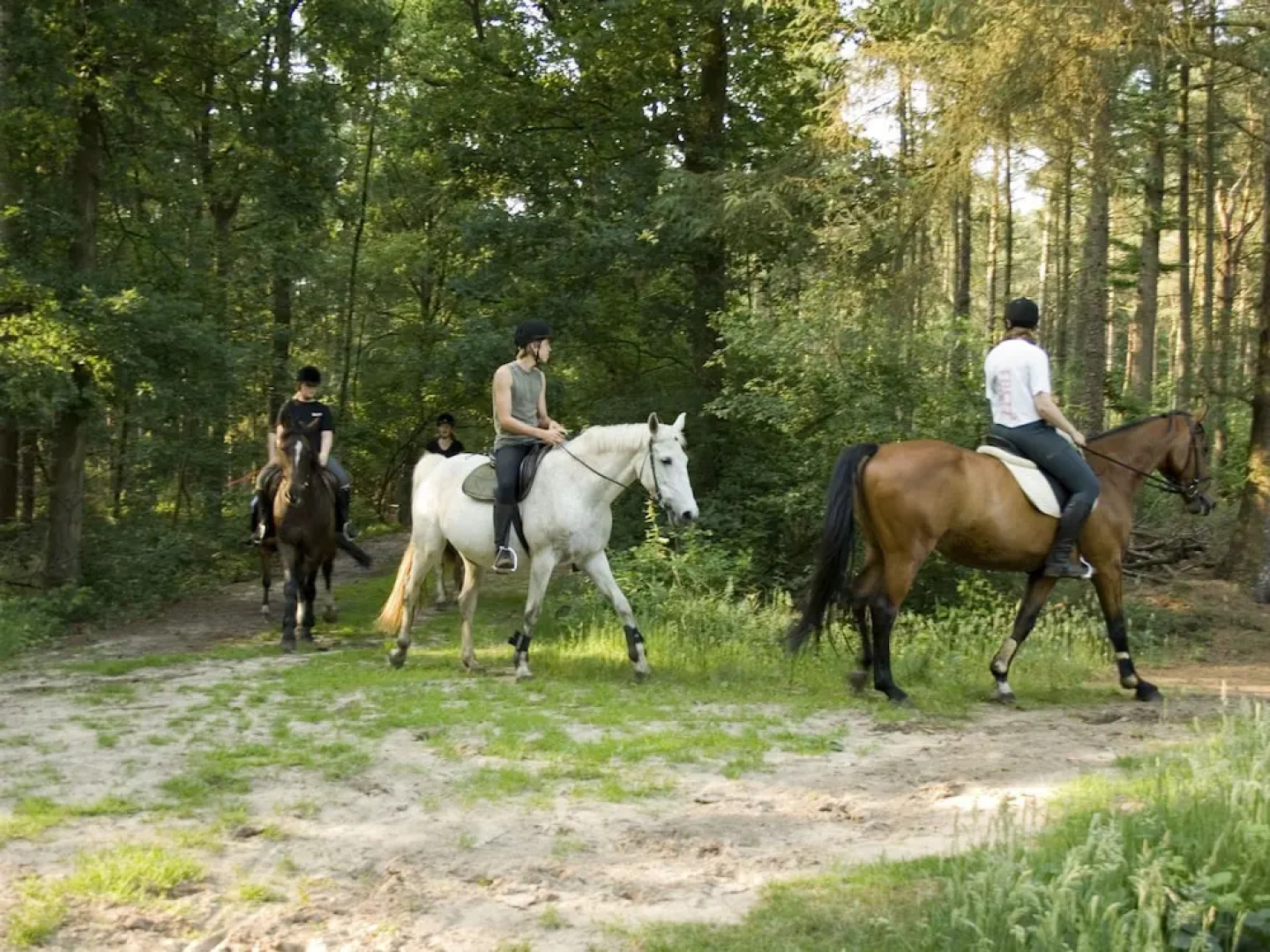 Cozy Holiday Home with Bubble Bath near Zwolle