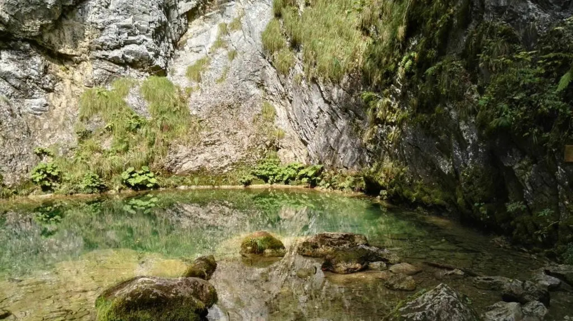 Pensiunea Piatra Mandrutului