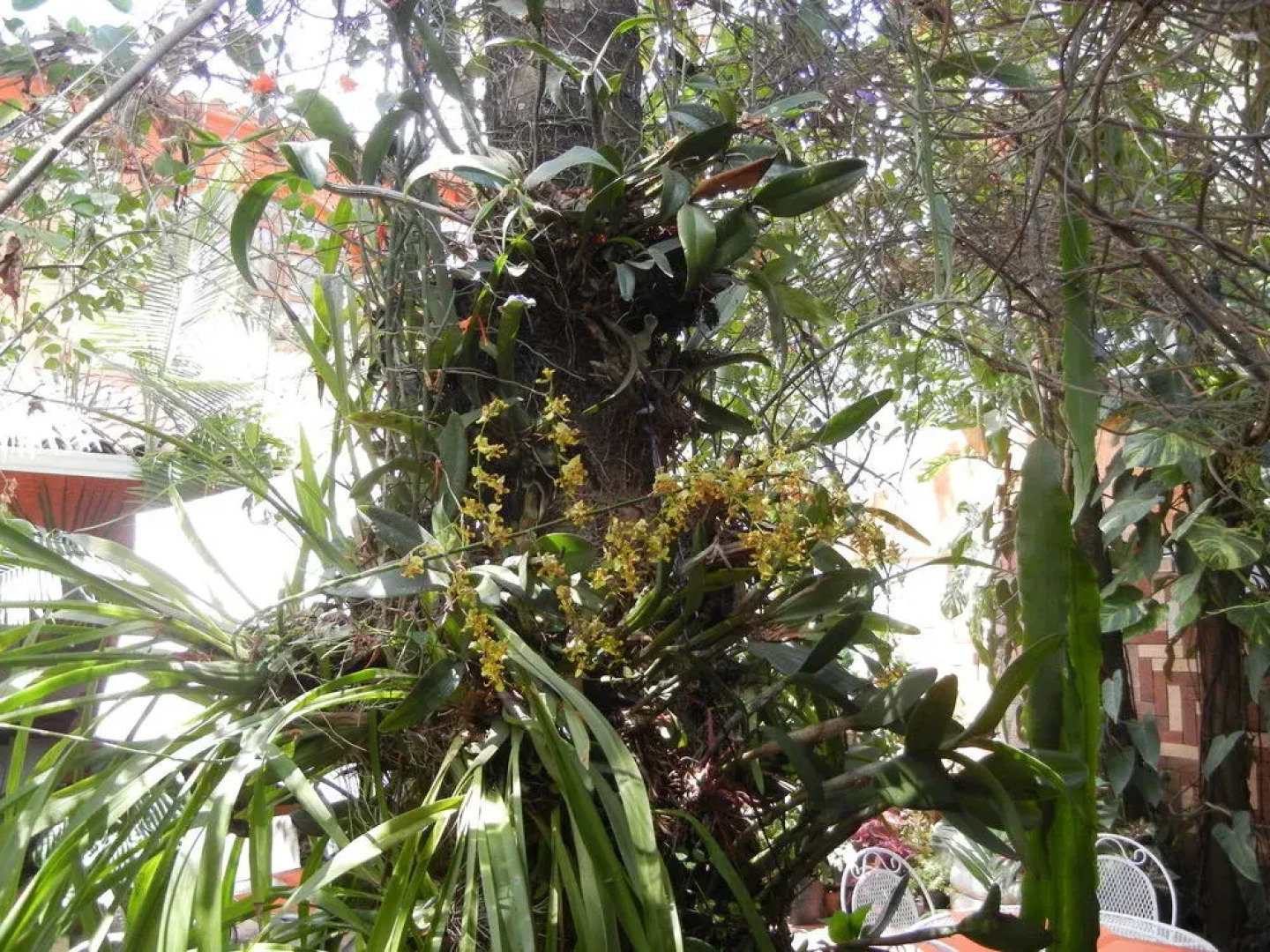 Hotel Boutique Casa Gabriela