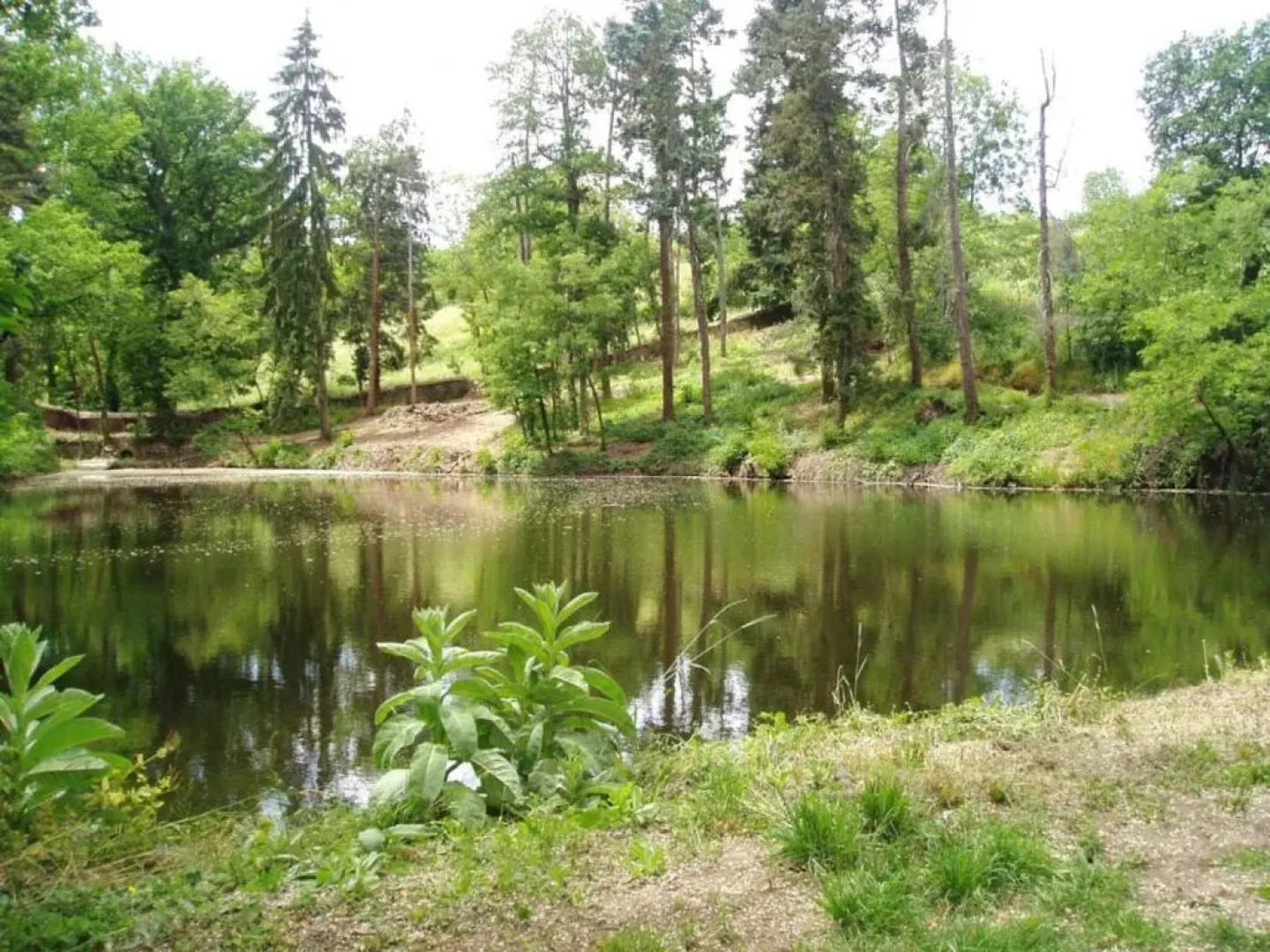 Gîte Montbrison, 2 pièces, 2 personnes - FR-1-496-158