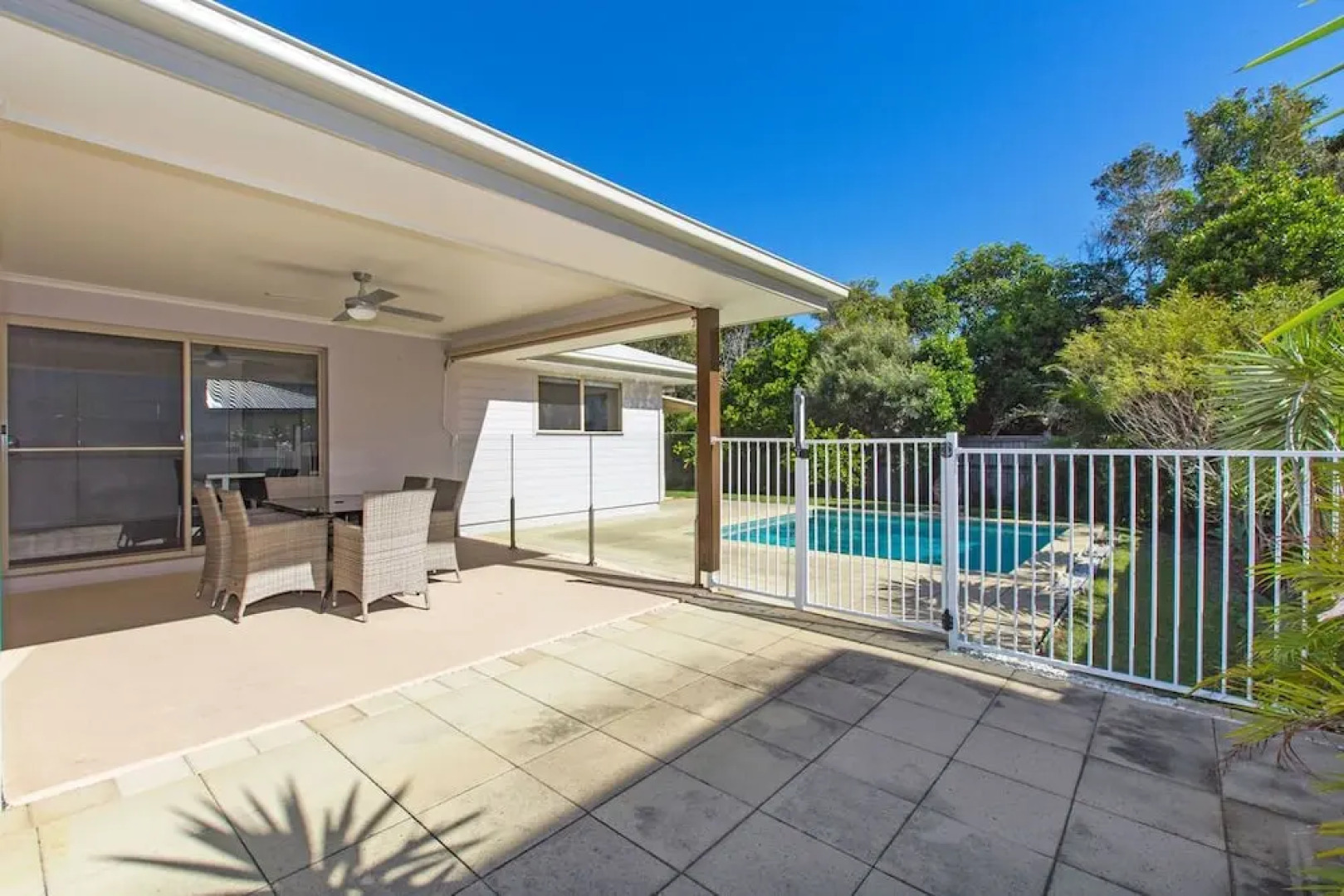 Sandy Feet On Casuarina