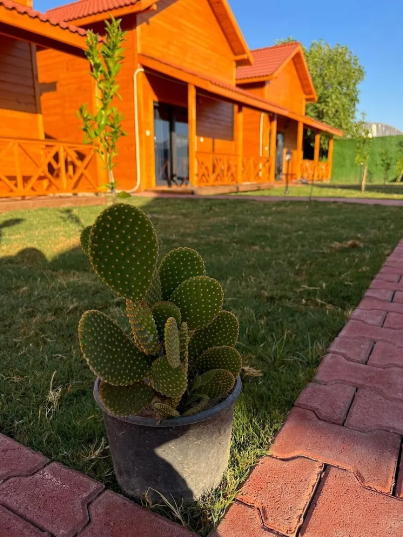 lemon garden bungalow