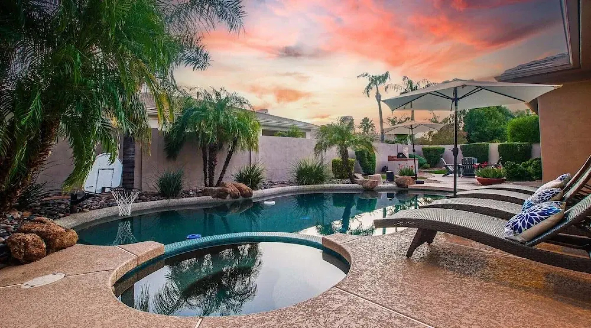 Lynx Chandler/ocotillo