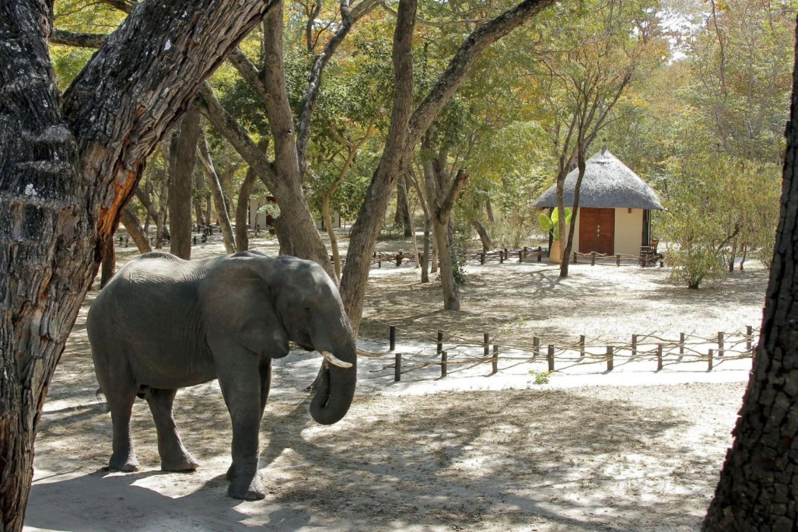 Gwango Elephant Lodge