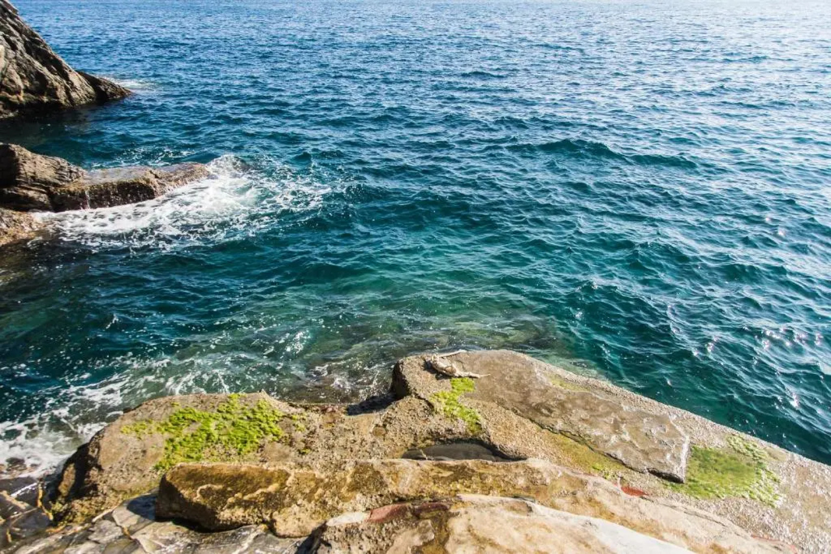 Timo Flexyrent apartment