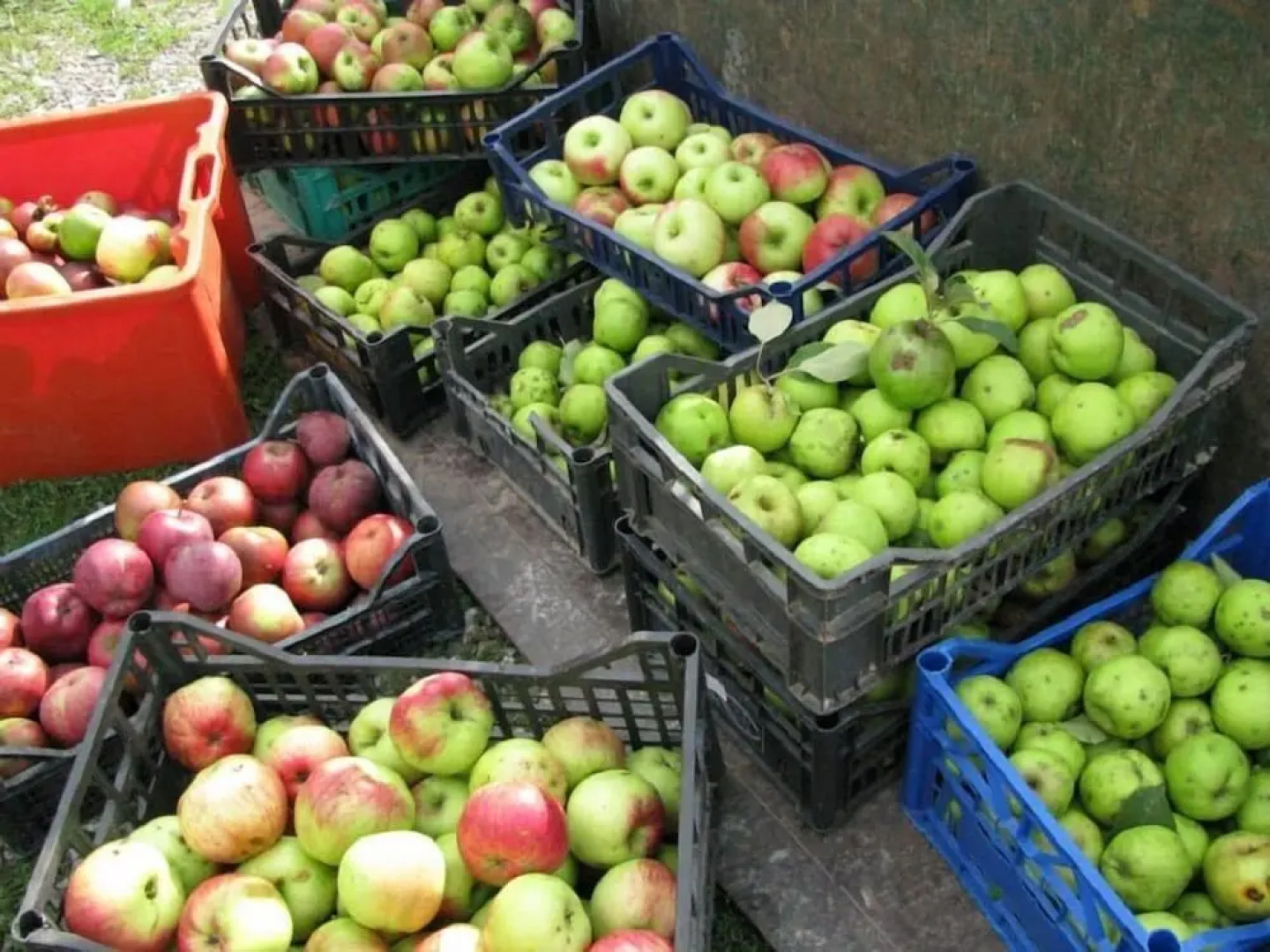Agriturismo Il Vecchio Fienile