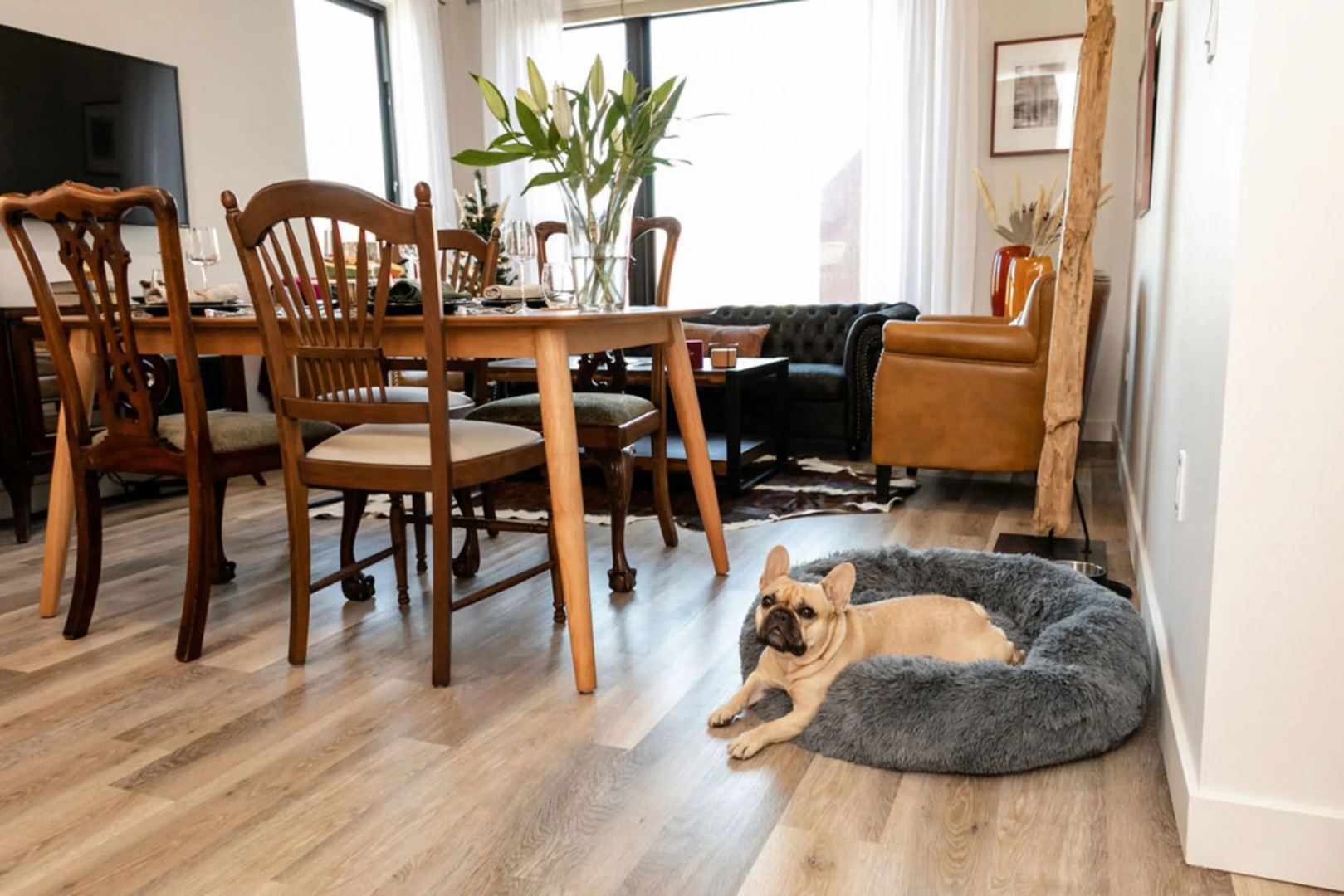 HOLT - Modern, Newly Renovated 2BR in Willits Town Center