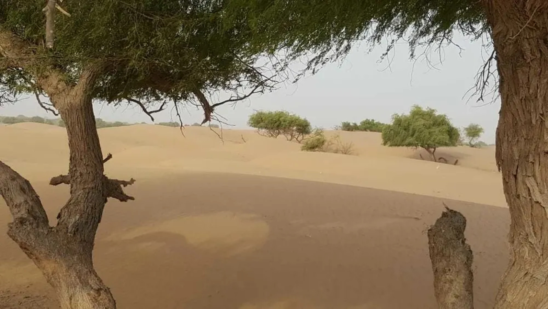 Wadi Sal Vacation Home