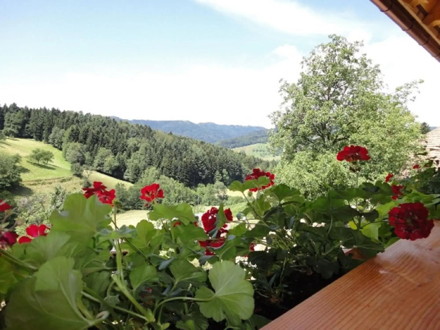 Urlaub im Herrenholz