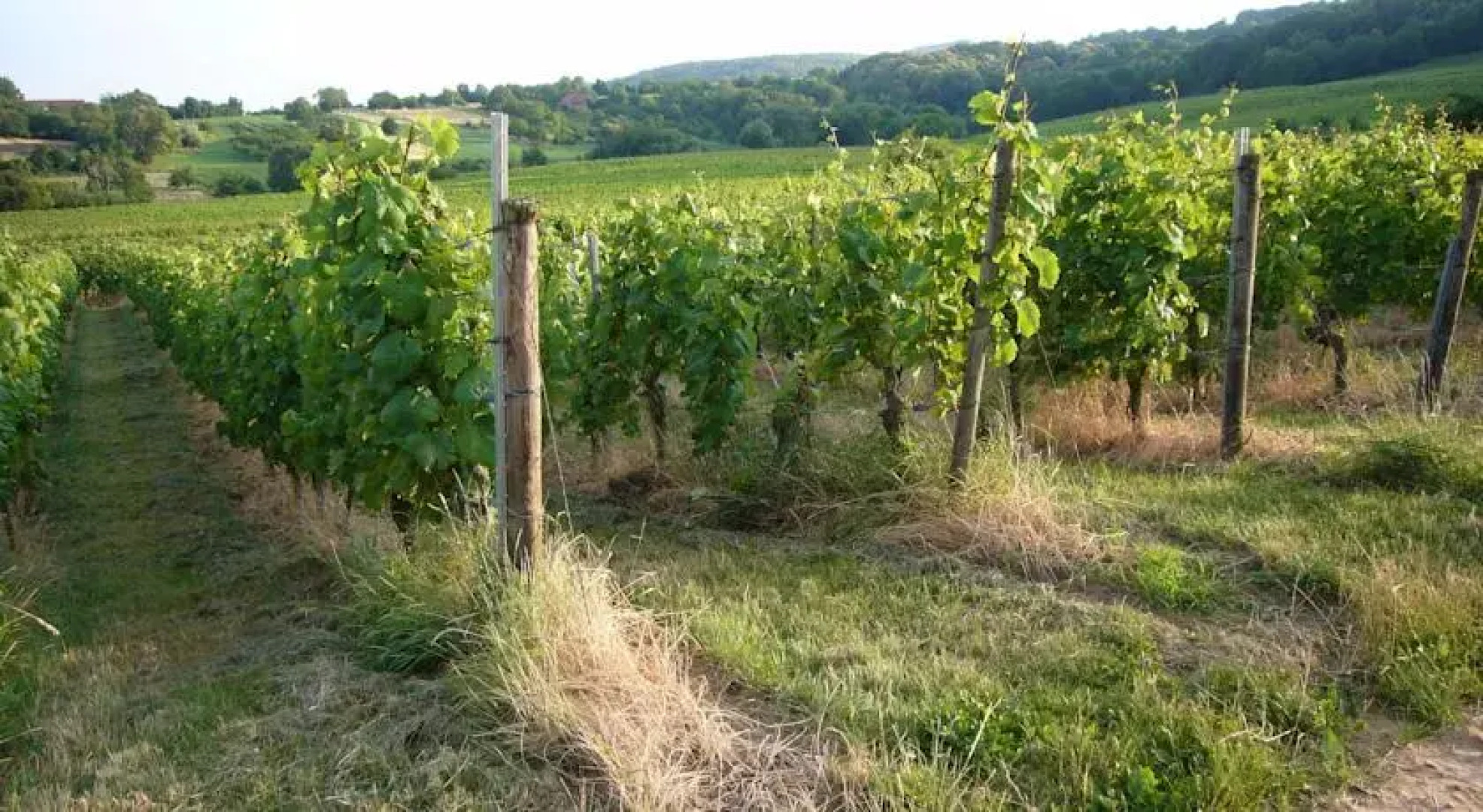 Ferienwohnungen Acker