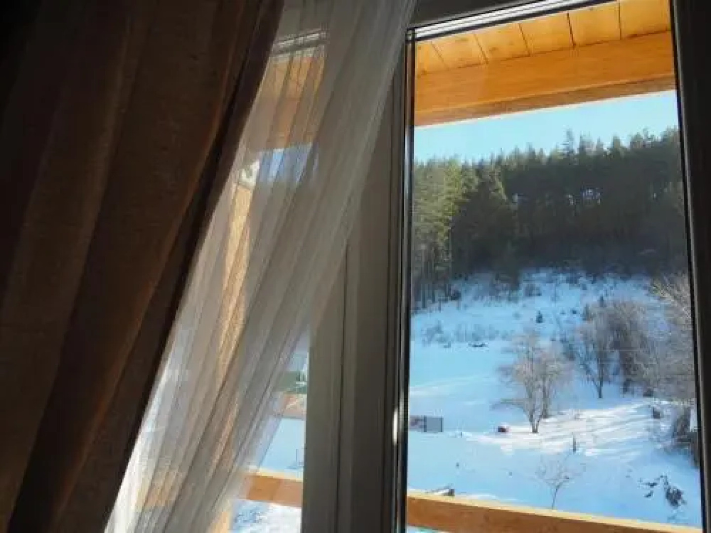 Guest House Firebird