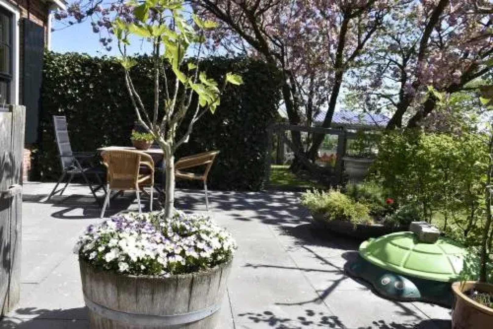 Bed & Breakfast Panamera