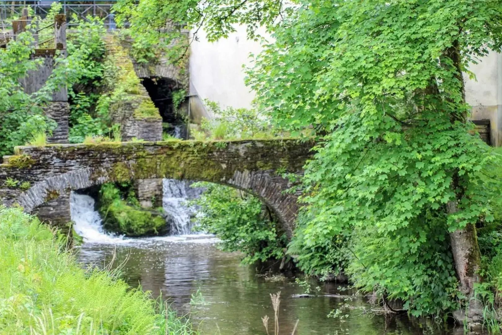 Safaritent at Camping Spineuse