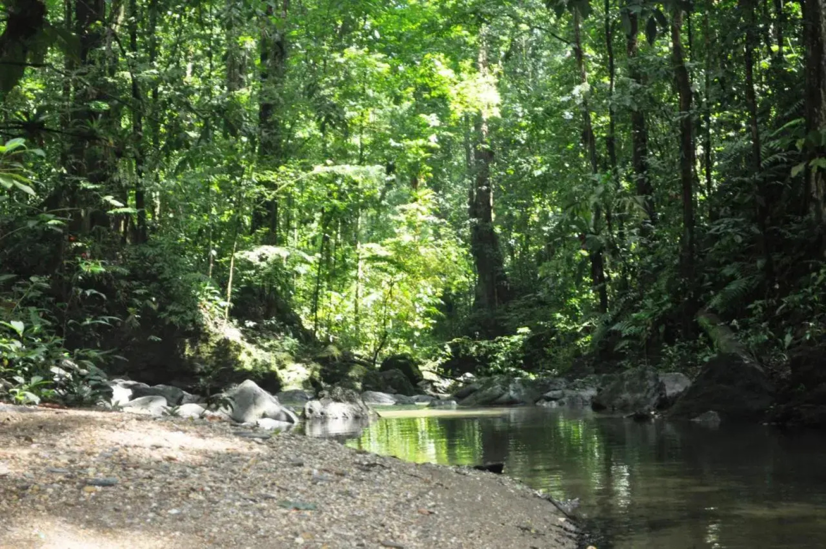 The Leatherback Lodge