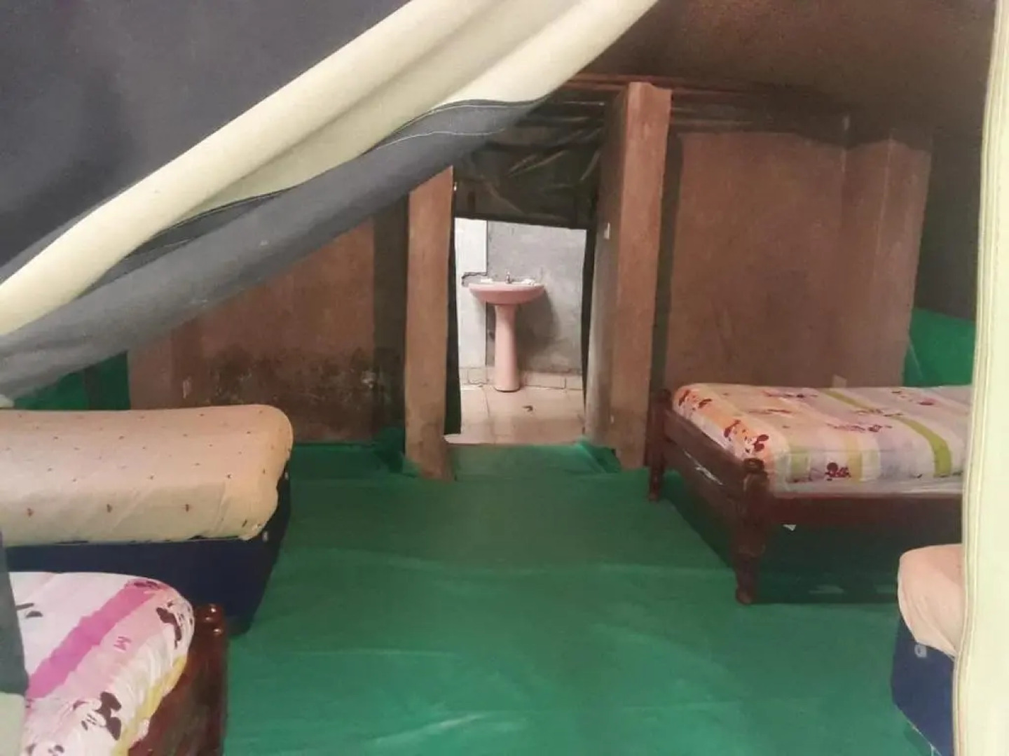 Cactus Eco Camp and Lodge