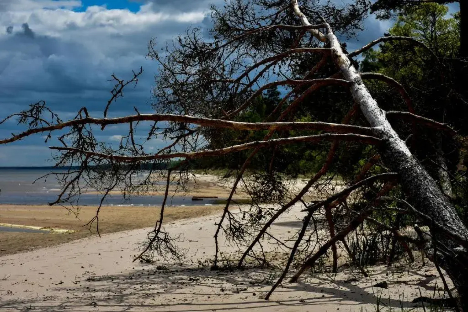 Atputas Vieta Braltirumi