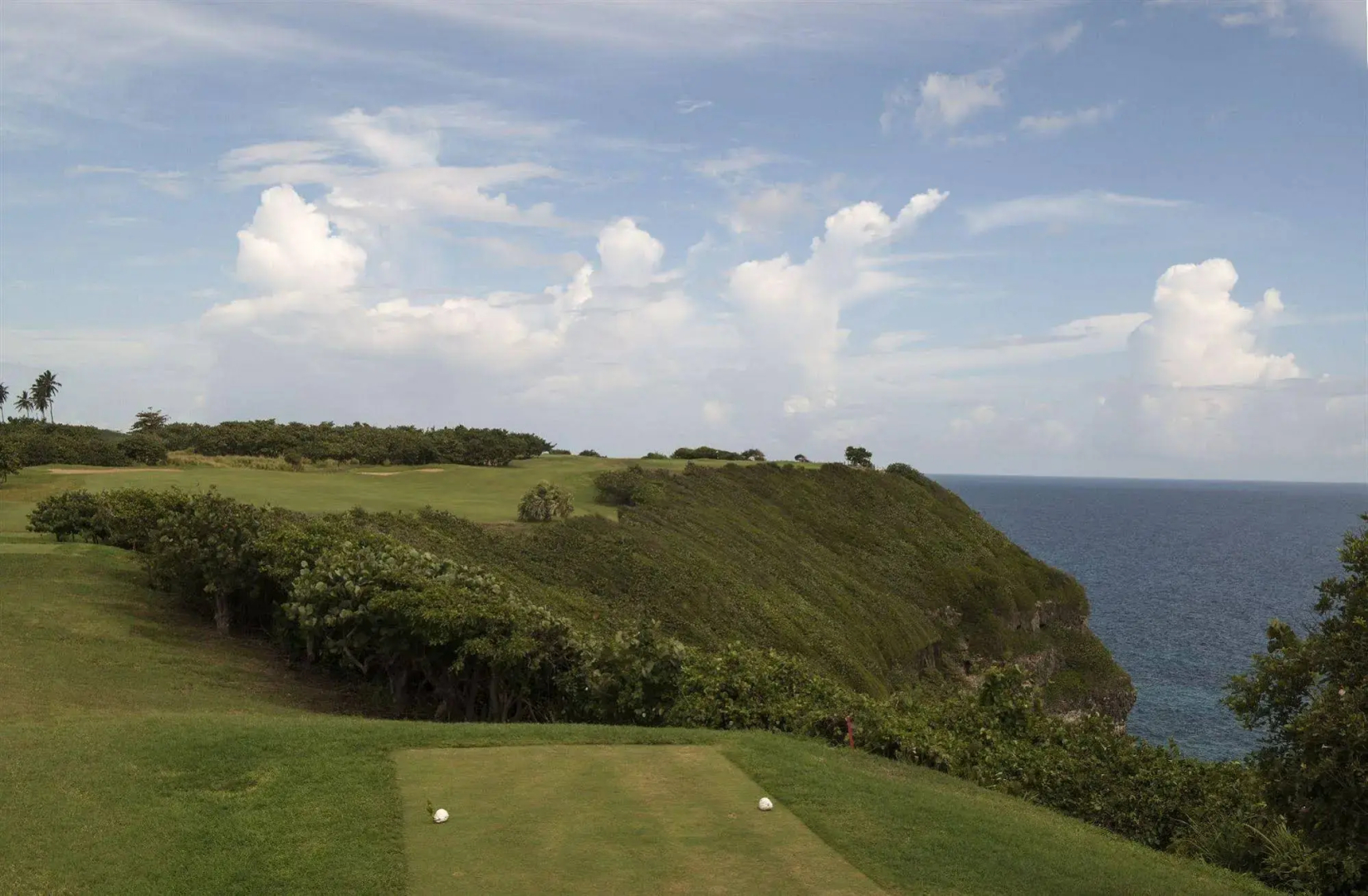 Royal Isabela