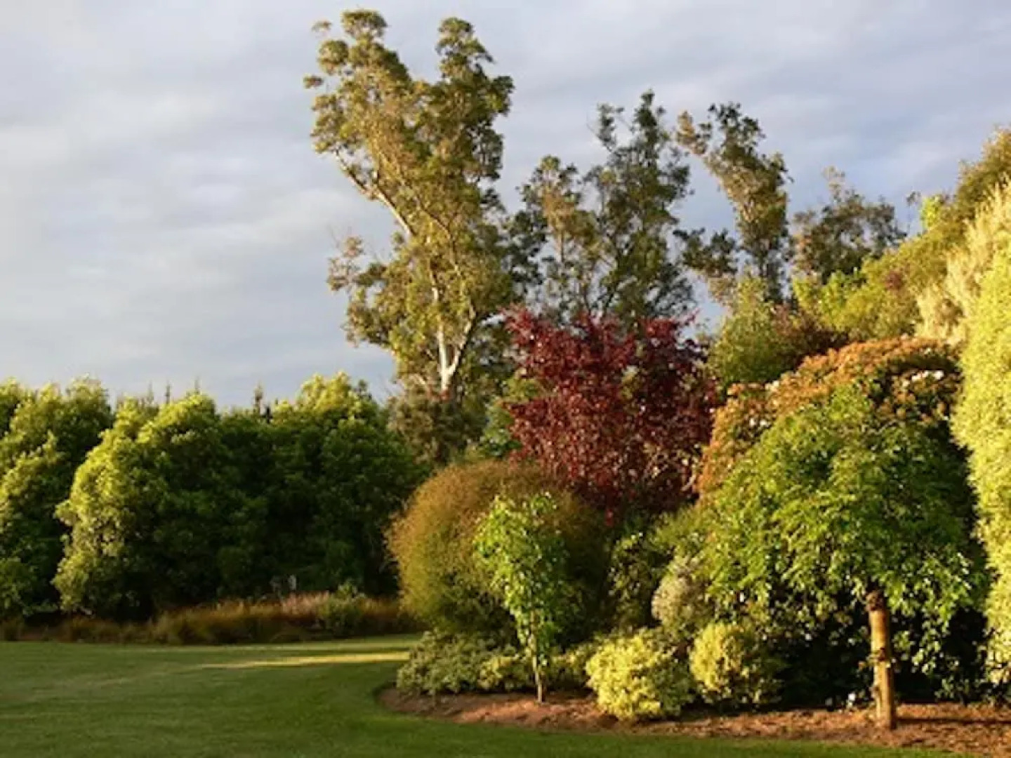 Garden View Bed & Breakfast Rolleston