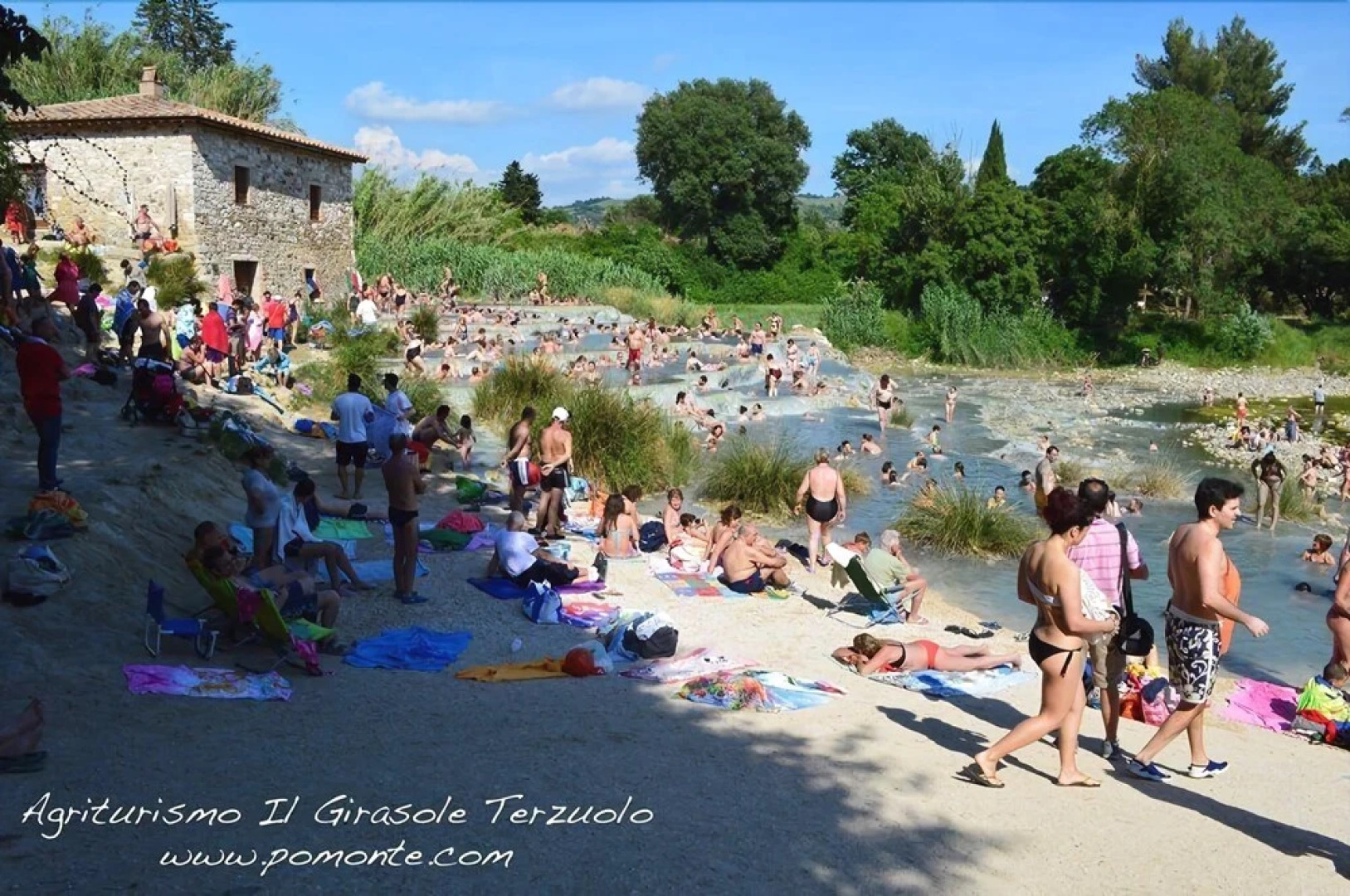 Il Girasole Terzuolo