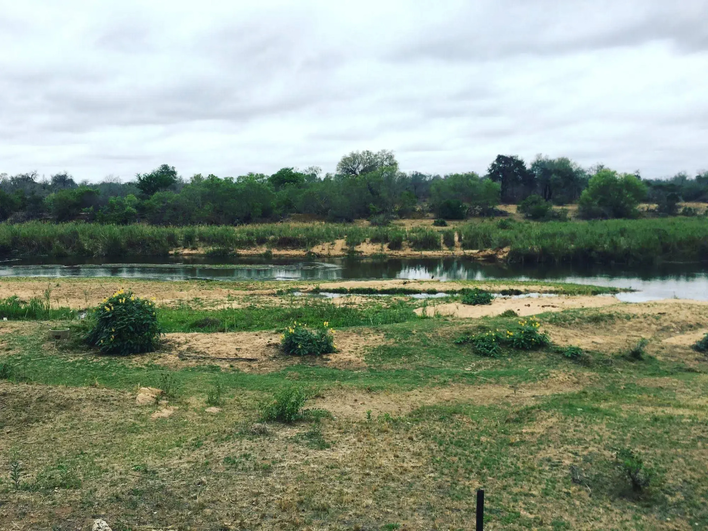 Sabie River Bush Lodge