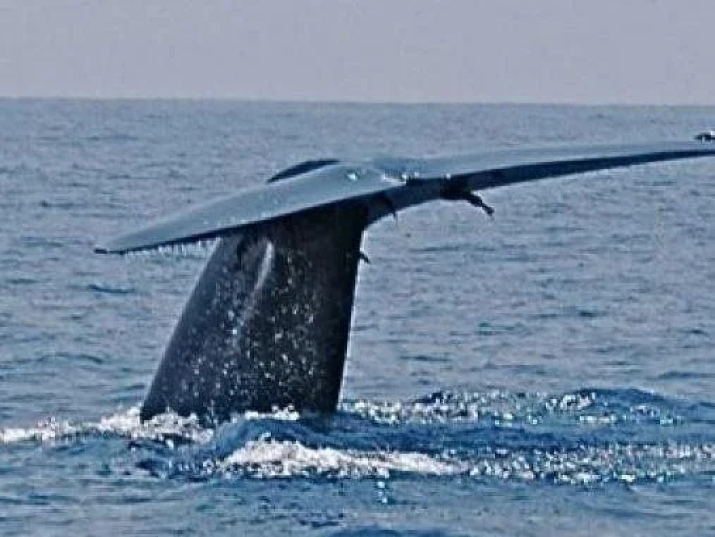 Polhena Coral Reef Resort