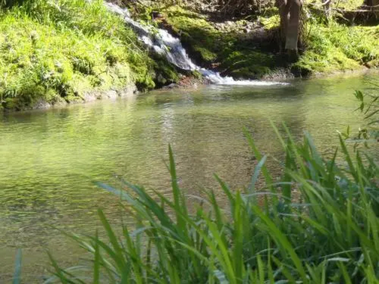 Blackberry Hill Farm