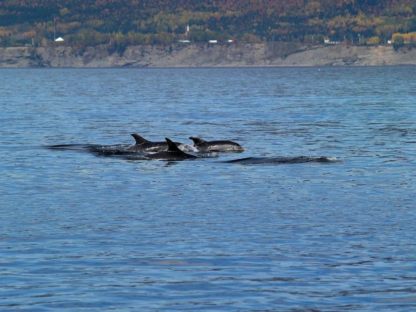 Restaurant Motel L'Étoile du Nord