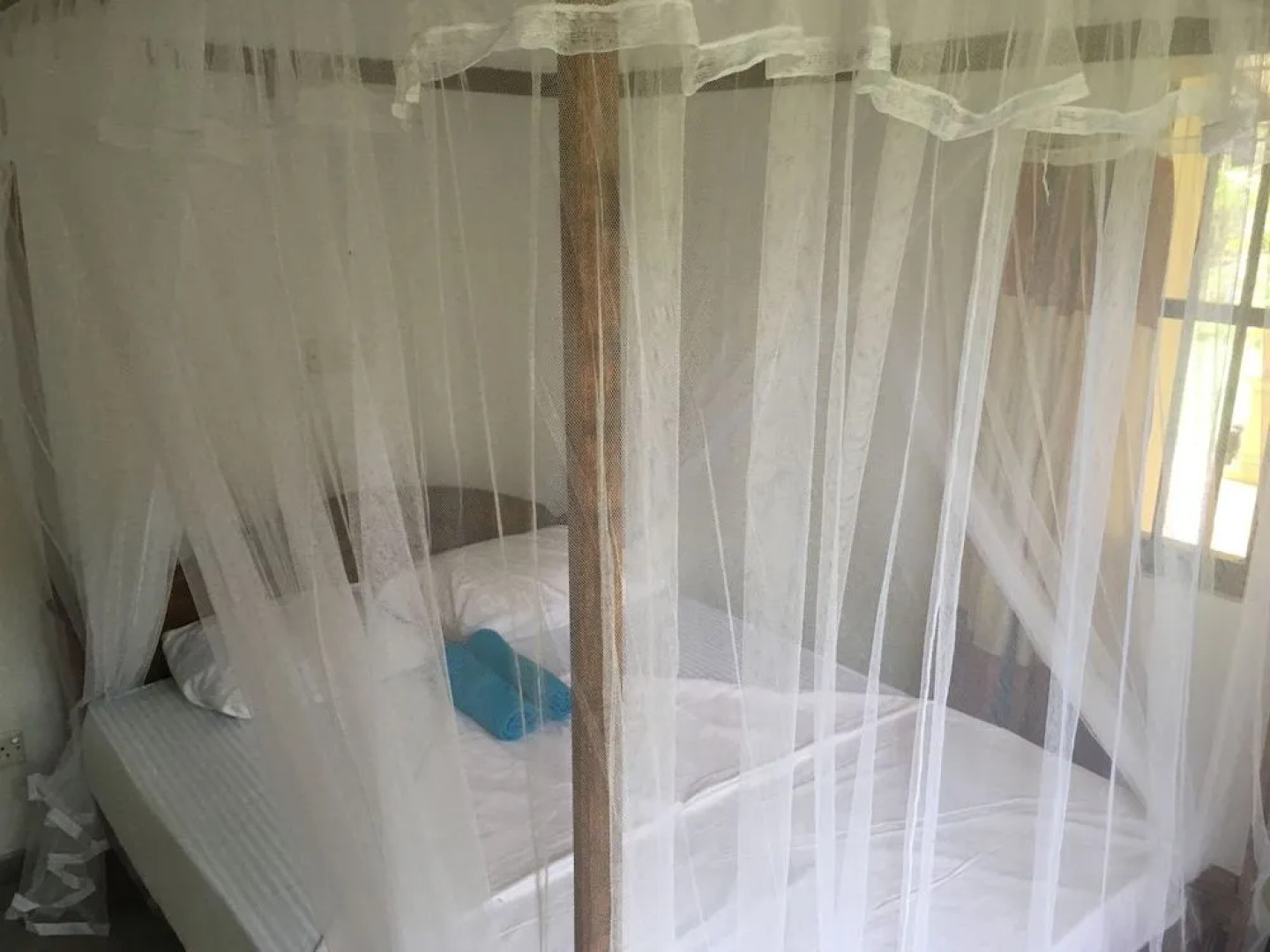 Villa Coconut - Hostel