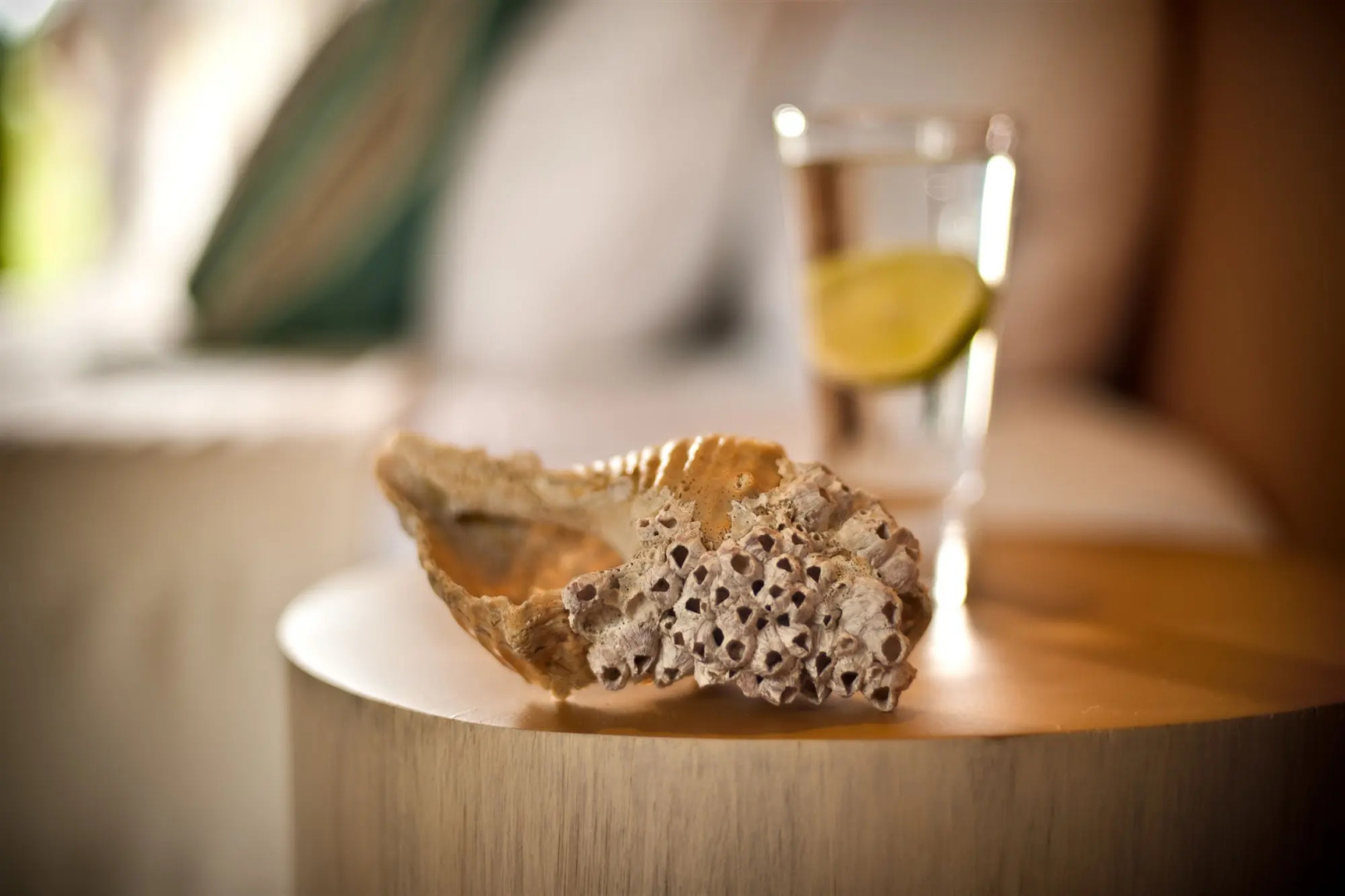 Cala Luna Boutique Hotel & Villas