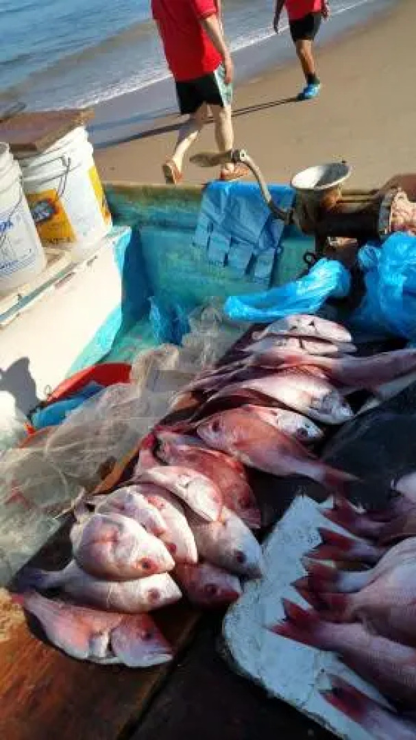 Bungalows Conny Del Mar