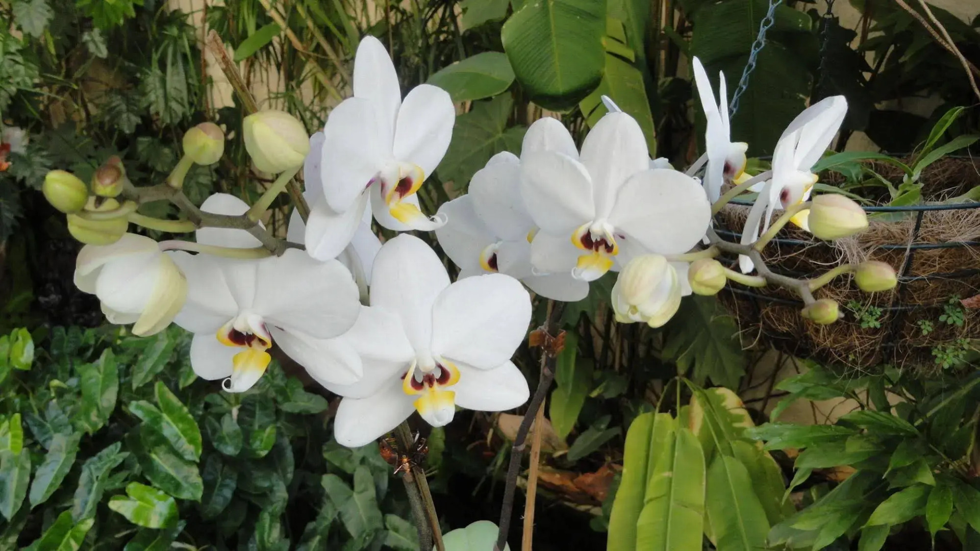 Rouxinol Boutique Hotel