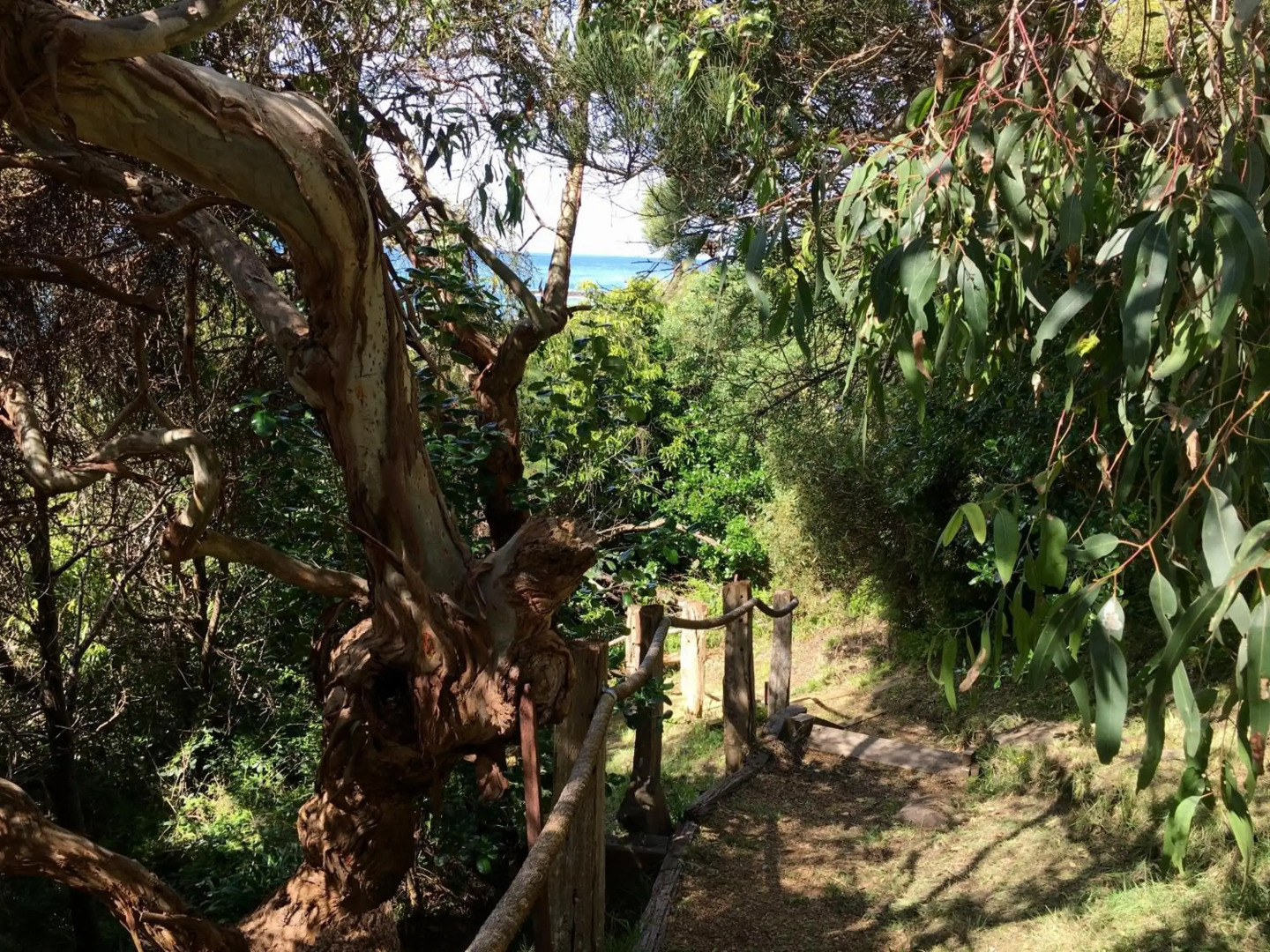 Y Vue - Beachside Apartment with Ocean Views