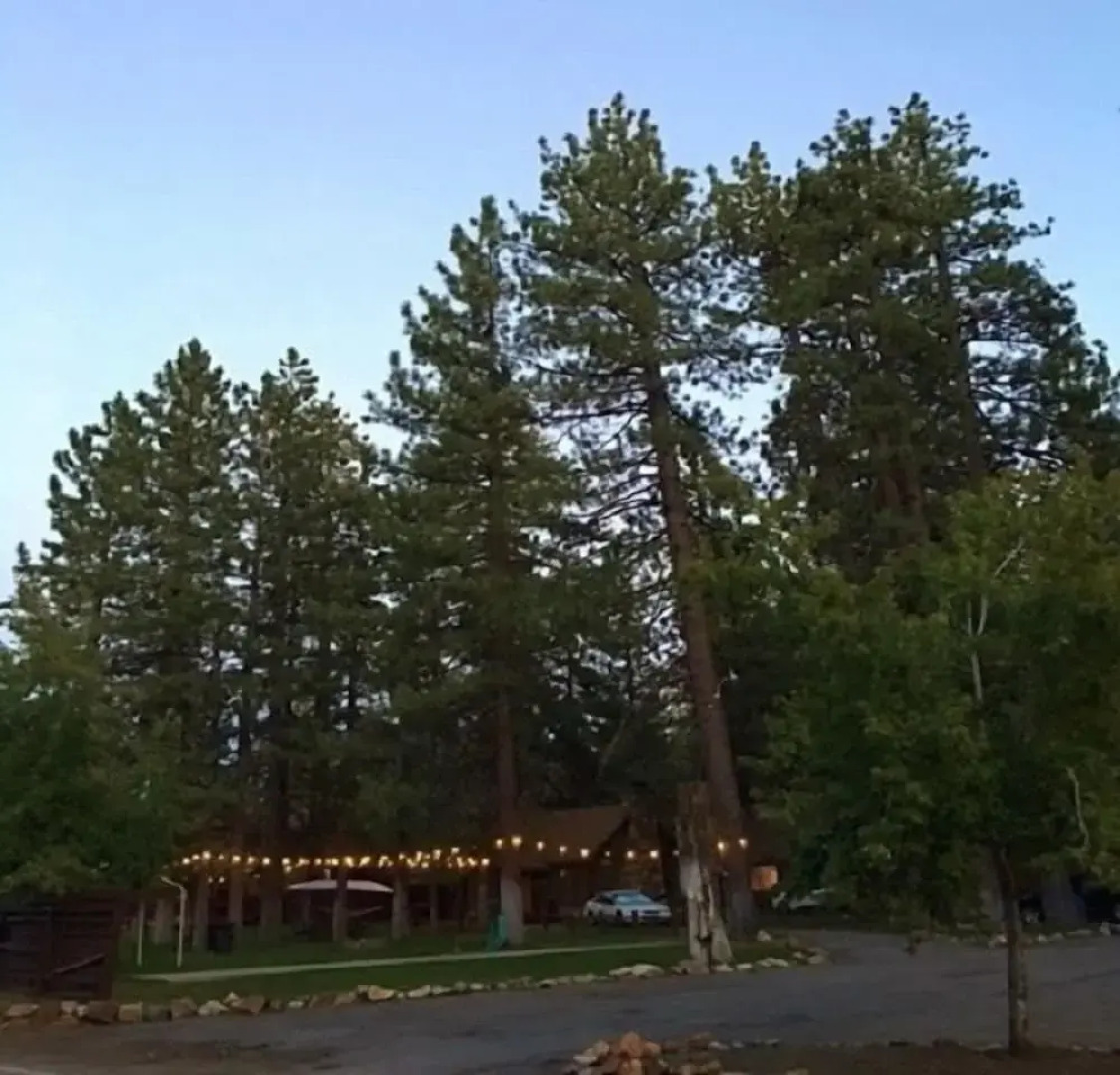 Golden Bear Cottages