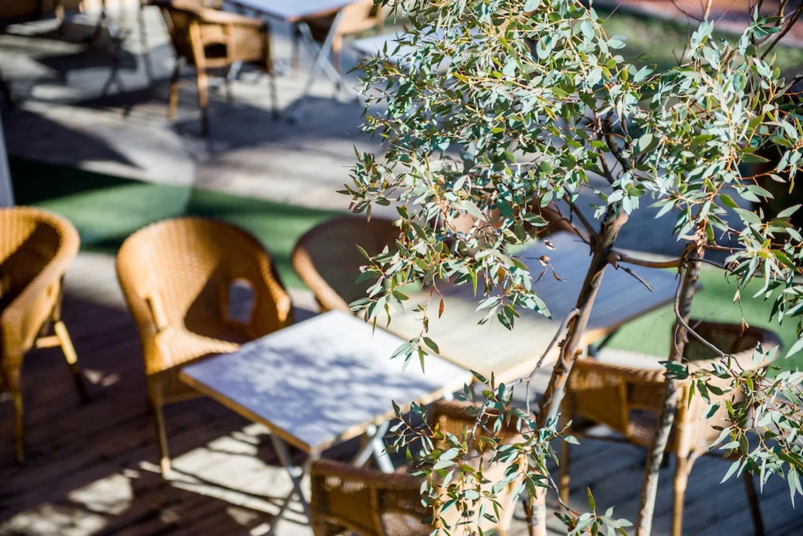 Logis Hôtel Le Tilia