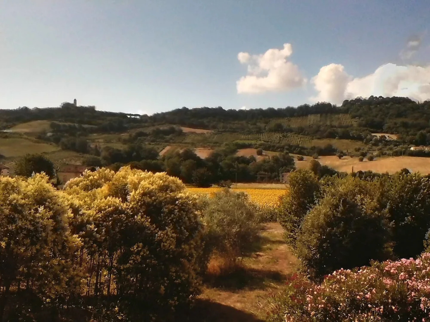 House With 2 Bedrooms in Campofilone, With Furnished Garden - 3 km Fro