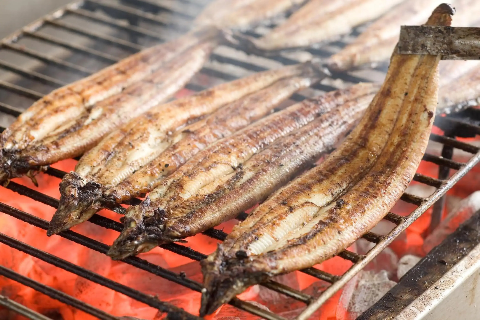 Yanagawa Hakuryu Soh