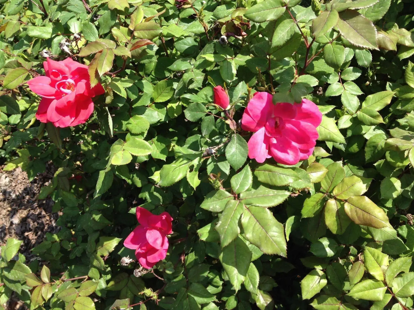 Relais Villa Annamaria