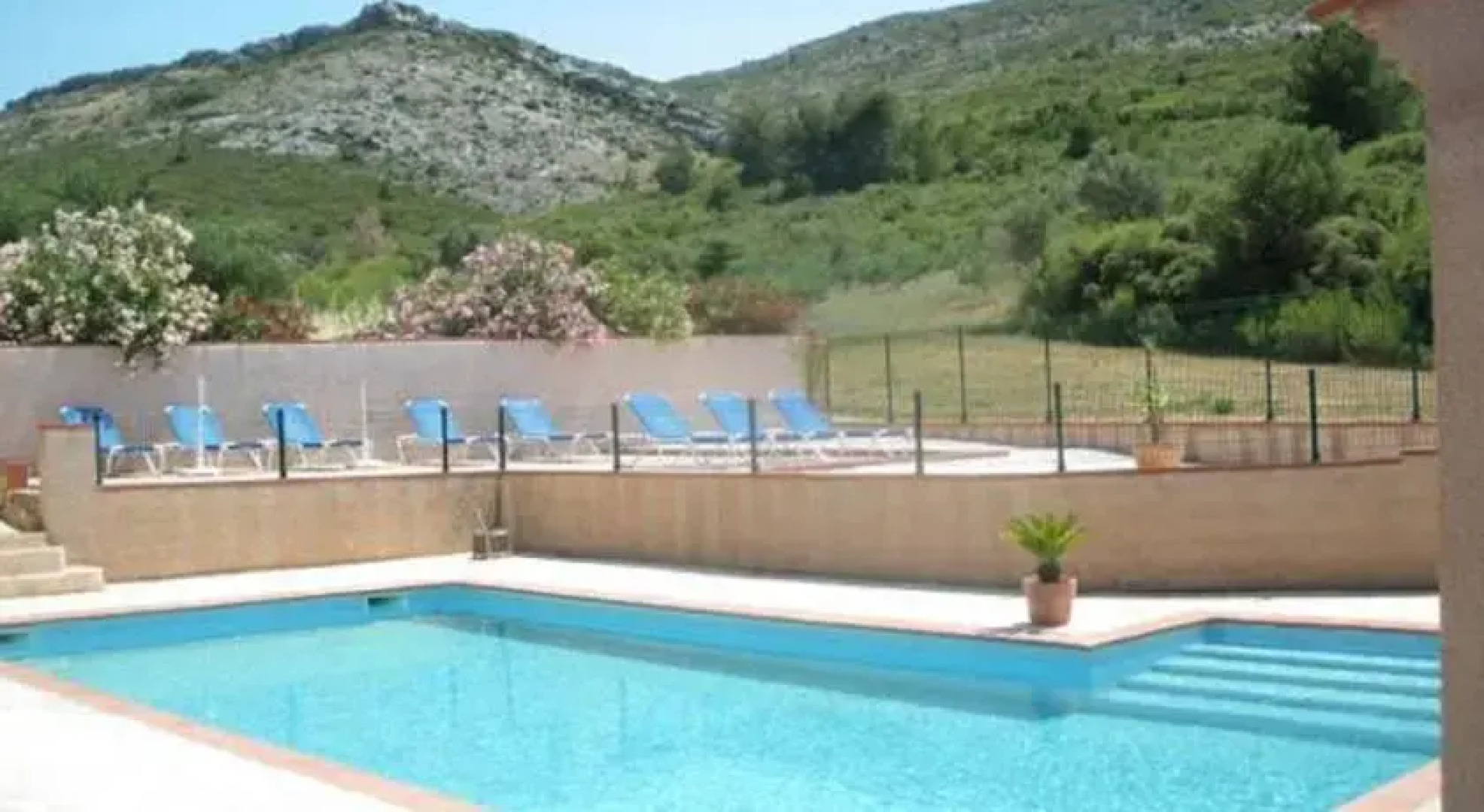 Les Oliviers de Virgina