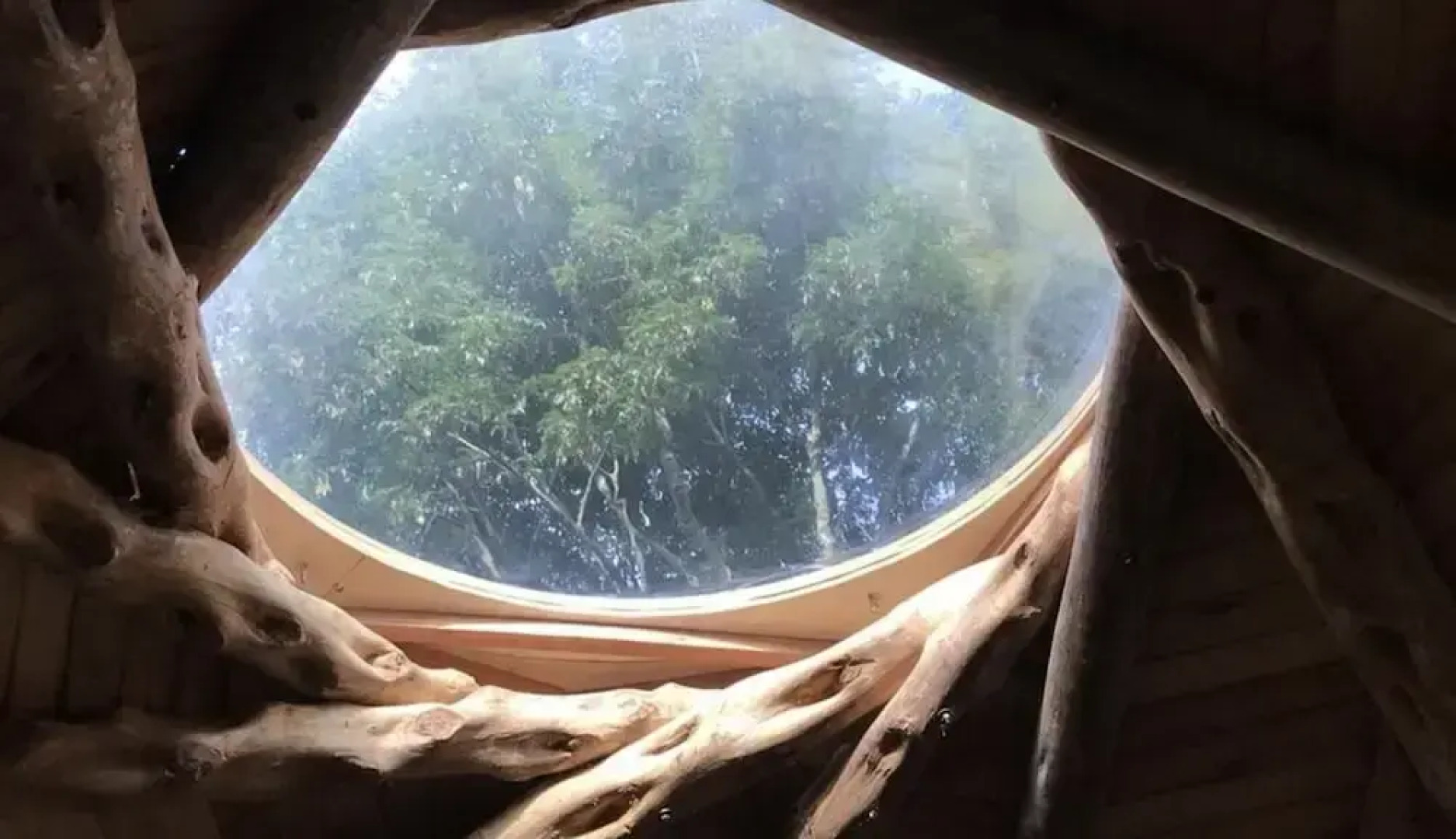 The Round House in Filandia - Campsite