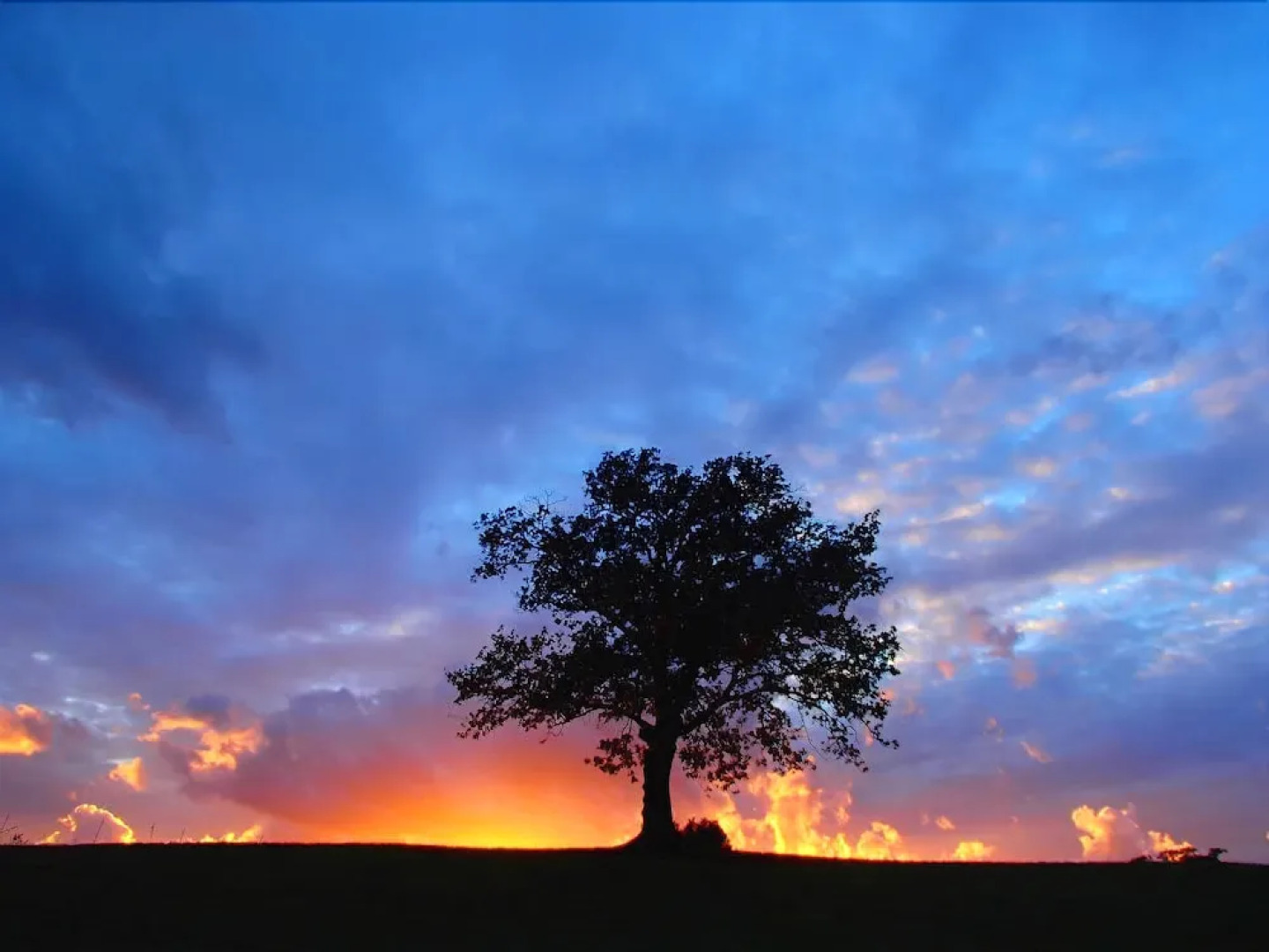 Agriturismo Perucci di Sopra