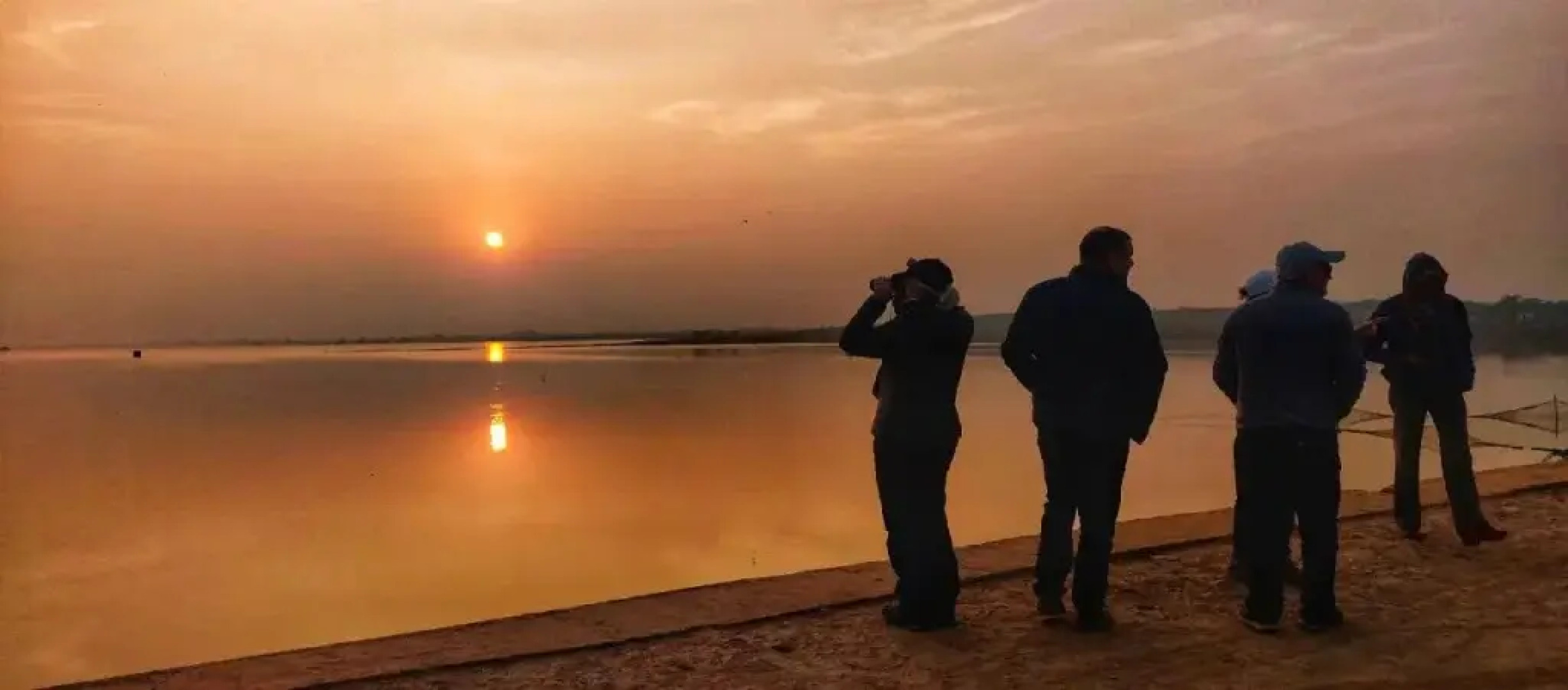 Ranthambore Tiger Home