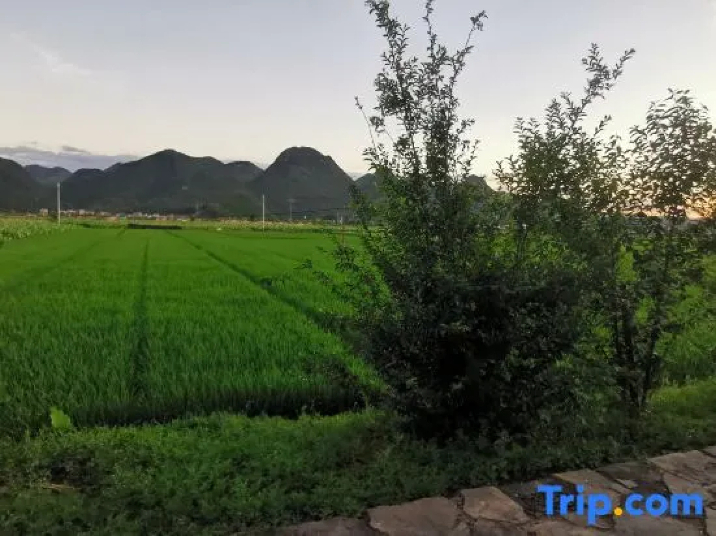 Puzhehei Yidu Homestay (Hehua Daguan Garden)