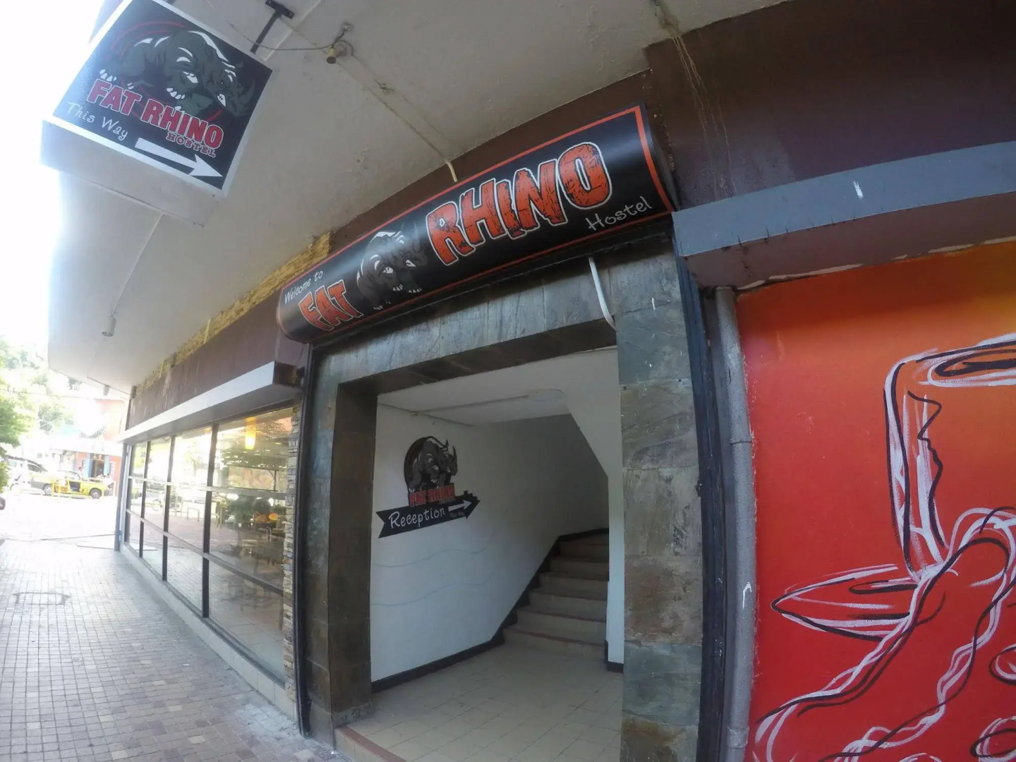 Fat Rhino Hostel