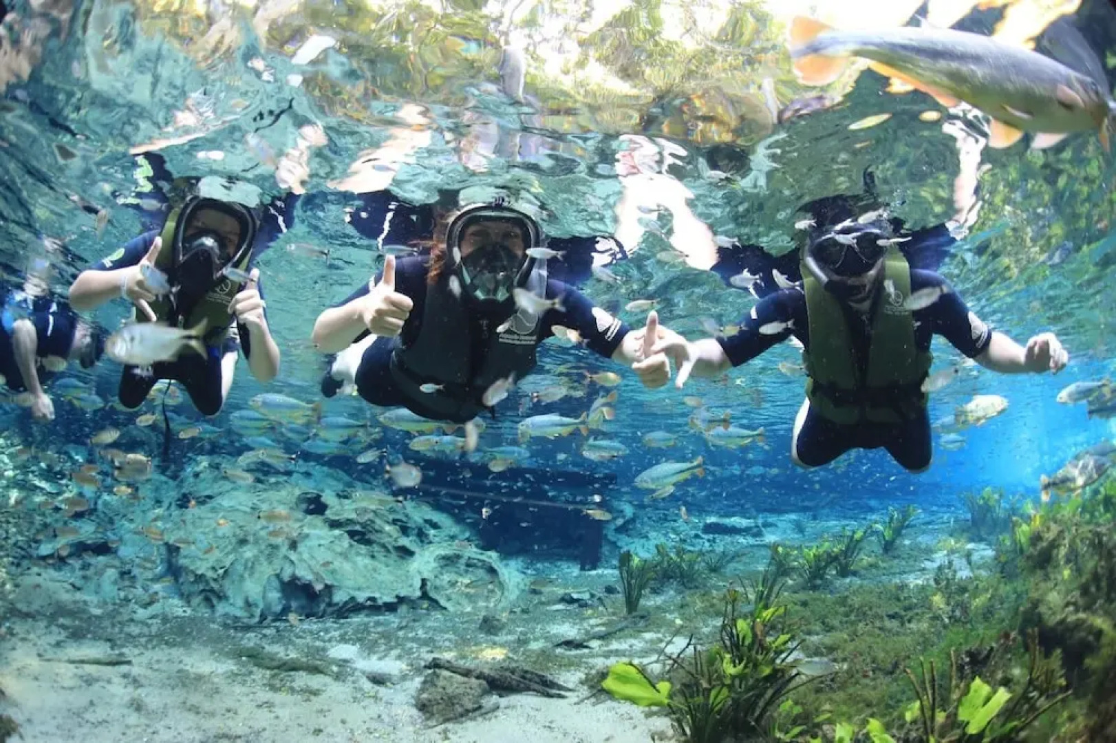 Bonito Hi Hostel e Pousada