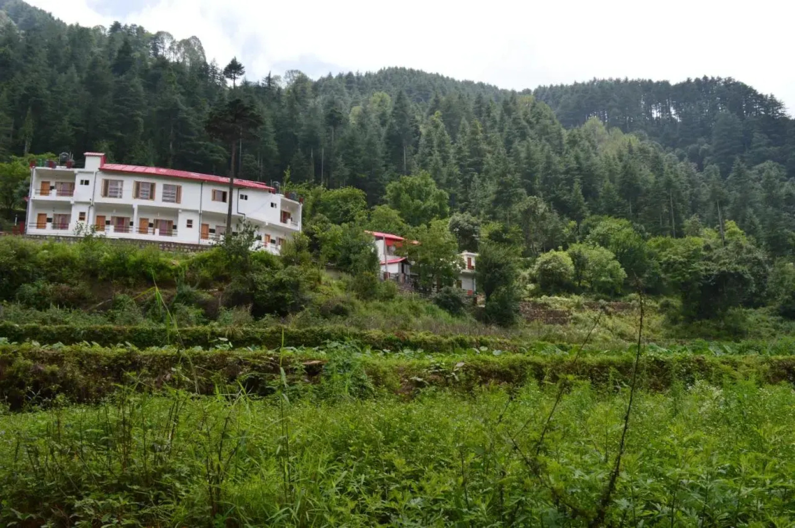 Hotel Burans And Restaurant